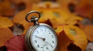Serendipity's Tick: The Stories Found in Unexpected Clock Discoveries